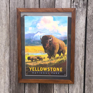 Iconic Yellowstone National Park with Buffalo  Canvas poster framed with Swan Creek’s signature wooden frame. Slightly fancier yet retains the lustrous rustic character of native Australian timber.  We’ve used special acrylic glass that’s less breakable (and a little more expensive). We can’t tell it’s not regular glass. This means we can post these and you can shift or travel with them.