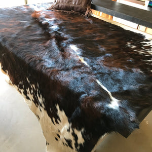 Texas Longhorn rug