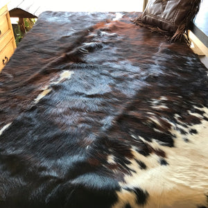 Texas Longhorn rug