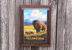 Yellowstone Buffalo Framed Print