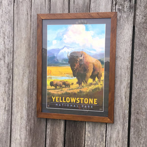 Iconic Yellowstone National Park with Buffalo  Canvas poster framed with Swan Creek’s signature wooden frame. Slightly fancier yet retains the lustrous rustic character of native Australian timber.  We’ve used special acrylic glass that’s less breakable (and a little more expensive). We can’t tell it’s not regular glass. This means we can post these and you can shift or travel with them.